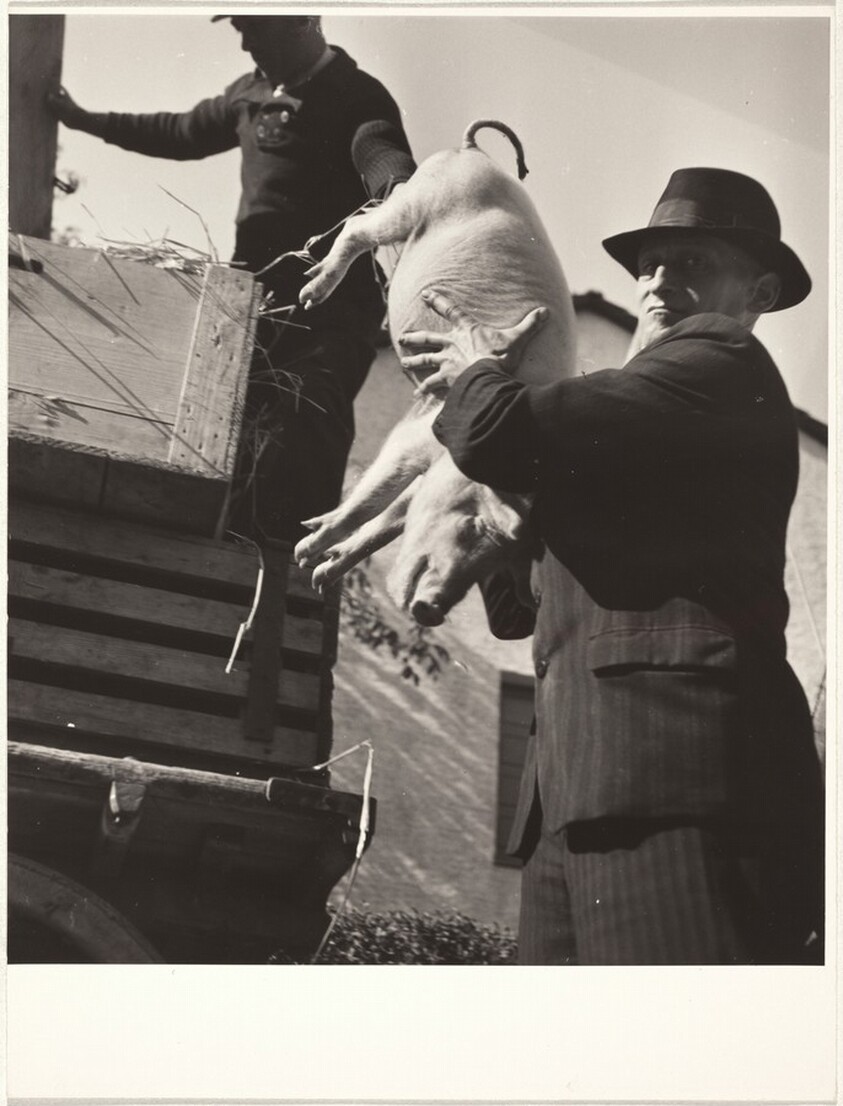 Farmer at market outside Zurich--40 Fotos