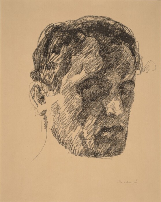 This image shows the head of a person in profile. The facial features are detailed with shadows highlighting a broad forehead, prominent cheekbones, and a strong jawline. The person has dark, wavy hair covering the top of their head and falling across the forehead. The figure is not clothed, and the background is plain. There is a signature in the lower right corner.