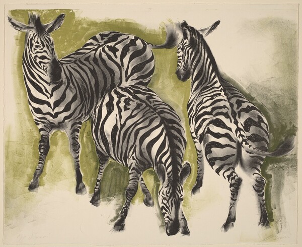 Zebras