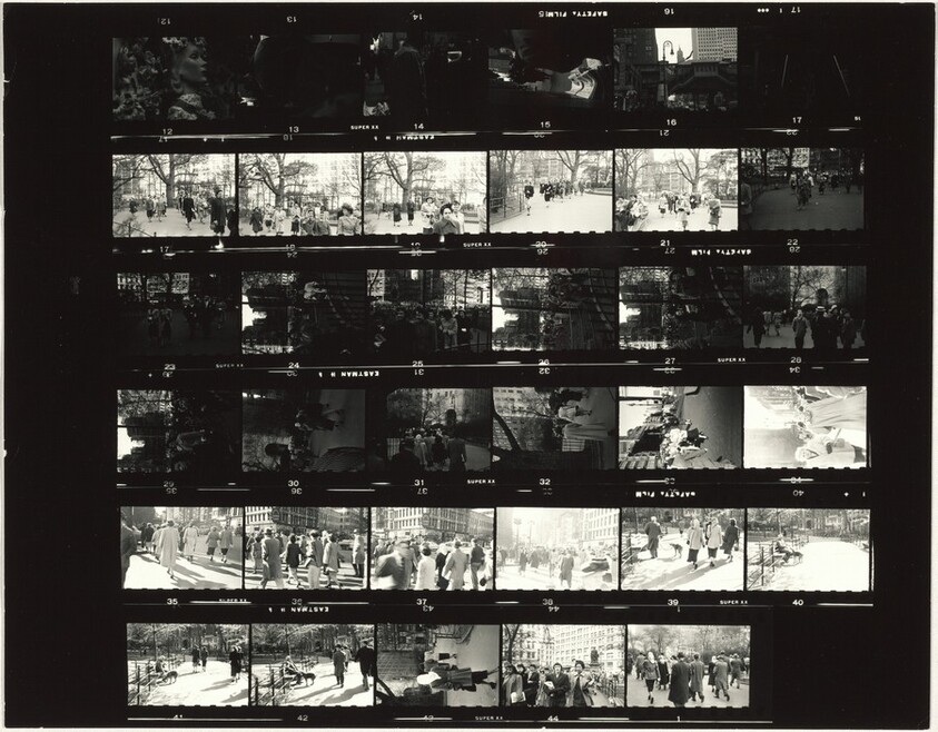 Washington Square--Various family S31