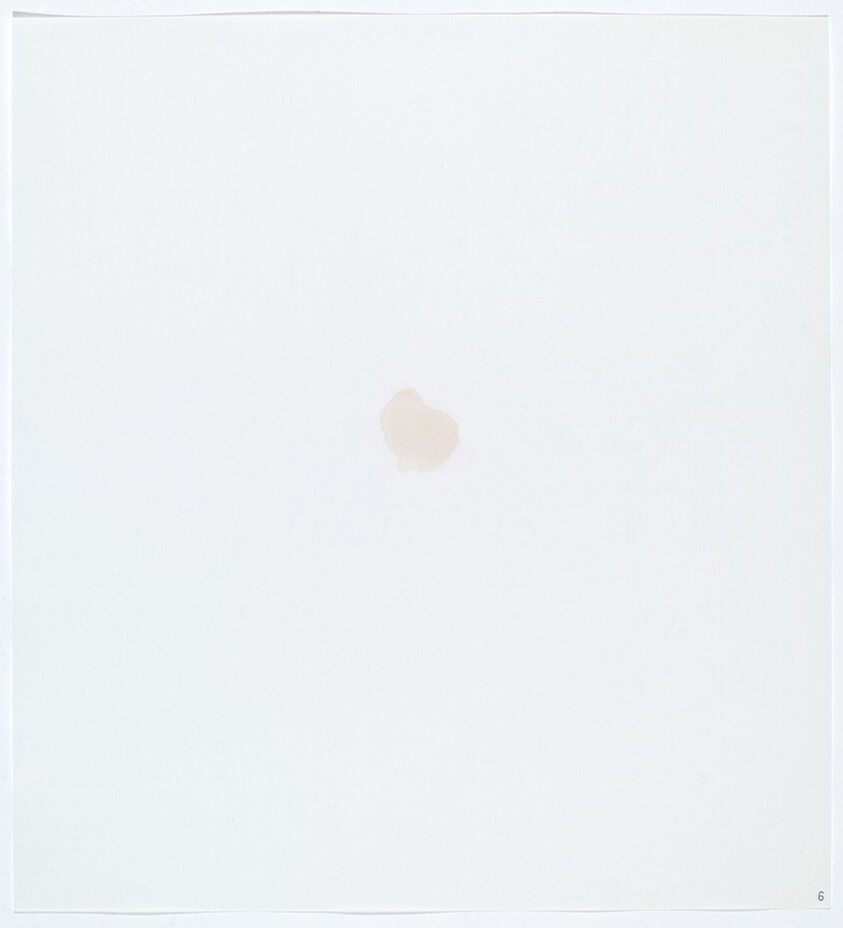 Stains: Bleach (Clorox)