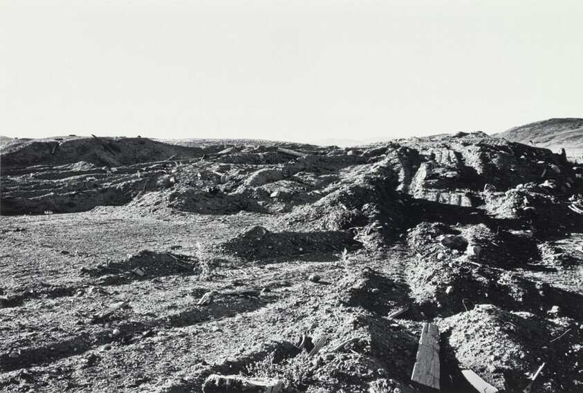 Between Sidewinder Road and State Highway 248, Looking North