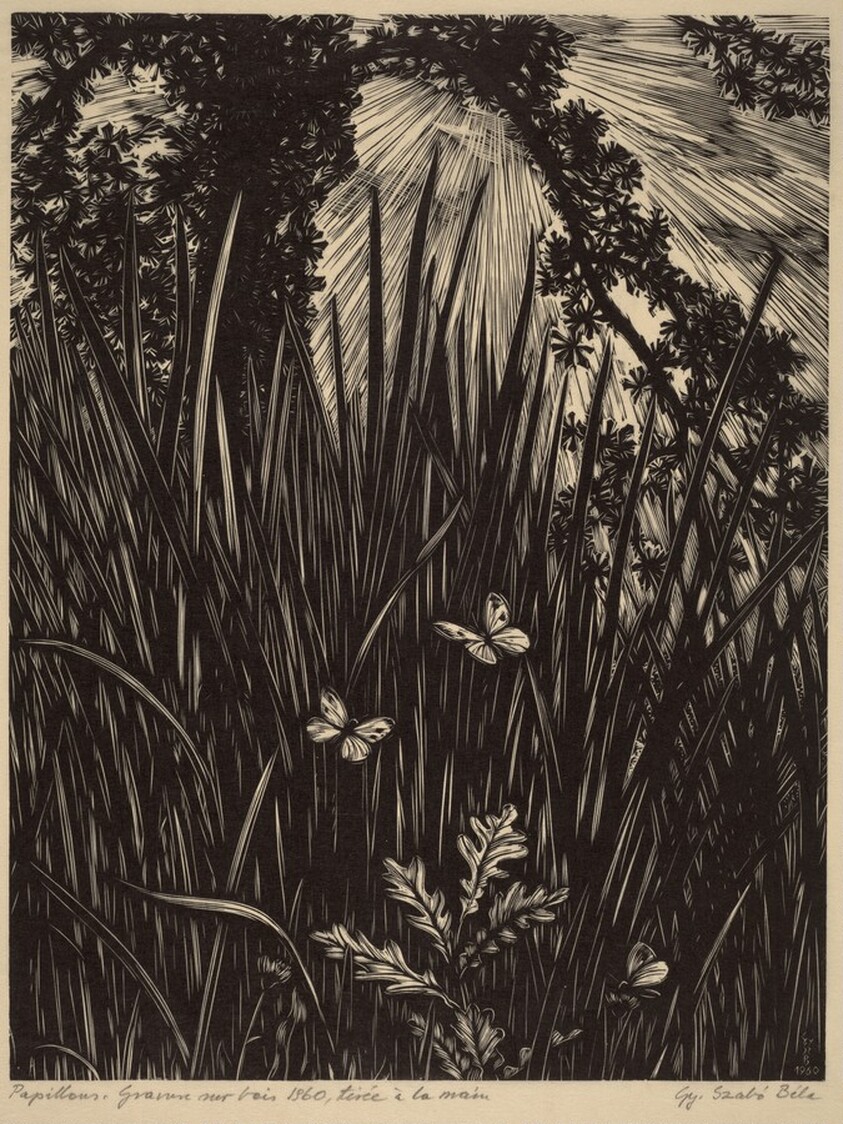 Papillons (Butterflies)