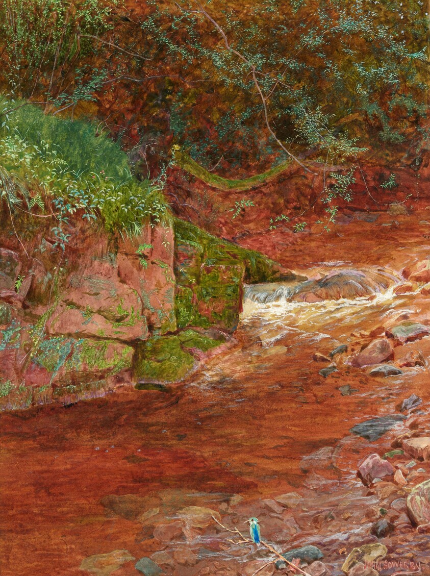 The Kingfisher's Haunt