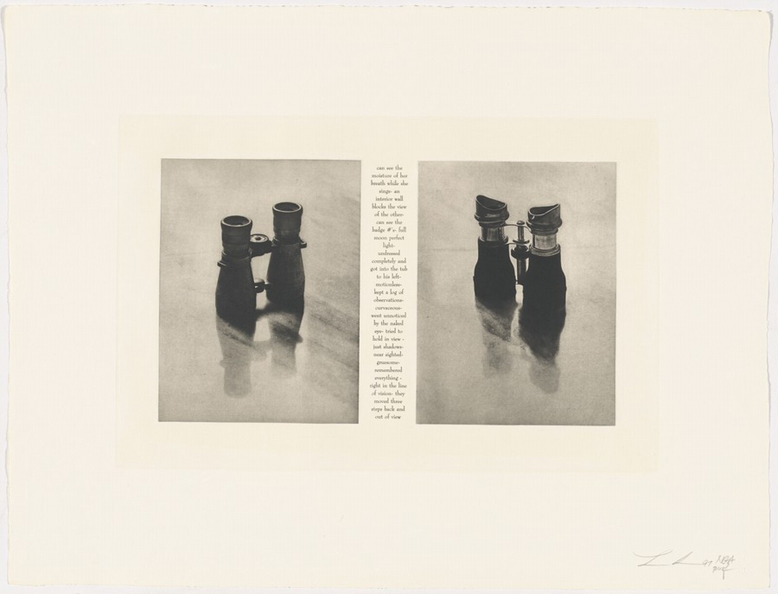 Two Pairs, Lorna Simpson, 1997