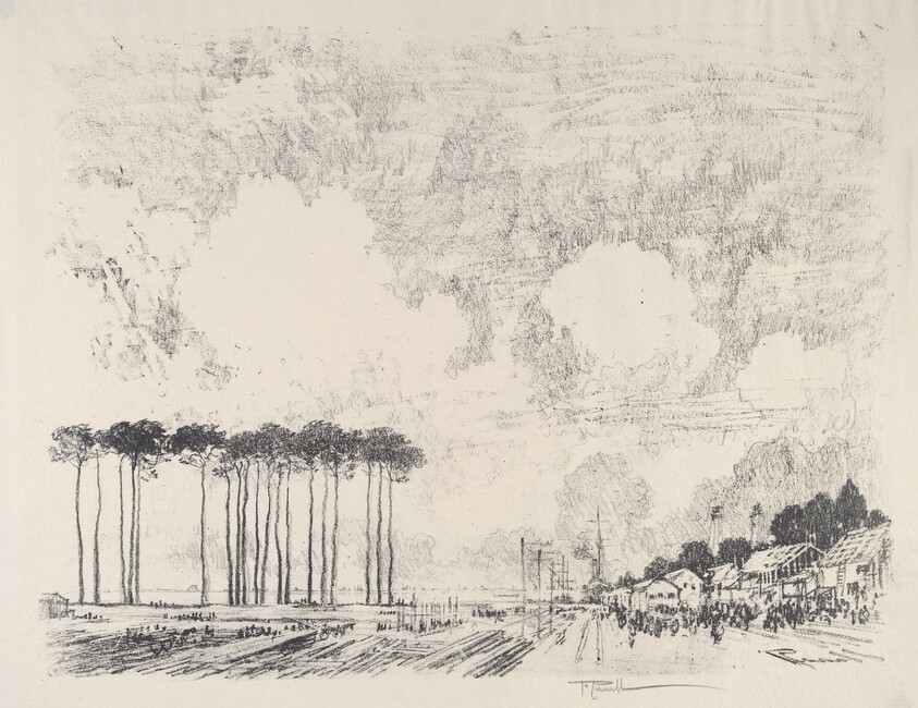 The Embarkation Camp, the Classic Grove