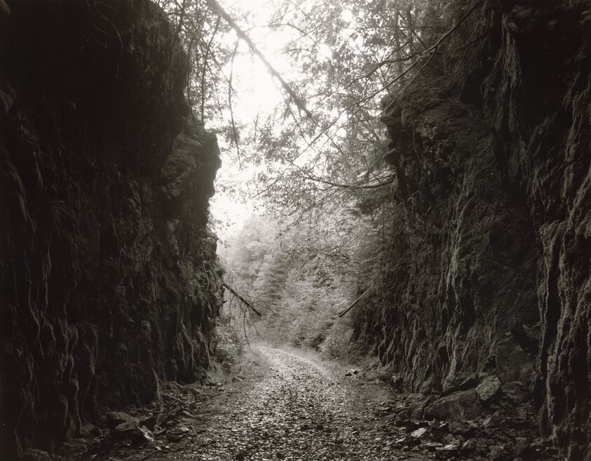 Columbia and Western