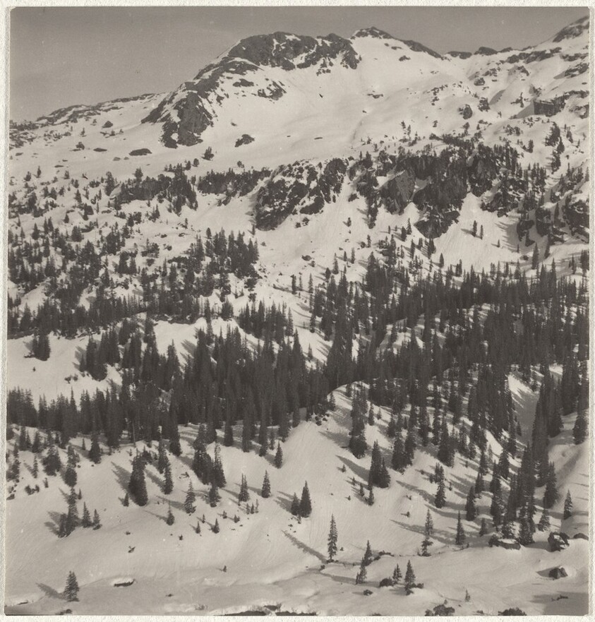 Mountainside--Landscape