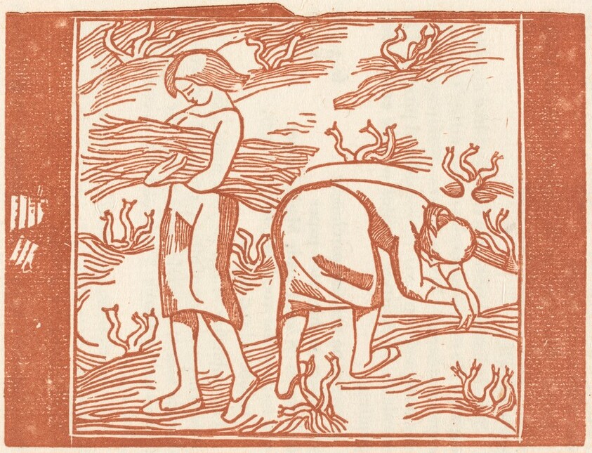 Women Harvesting (Jeunes filles ramassant dessarments de vigne: Deuxieme planche)