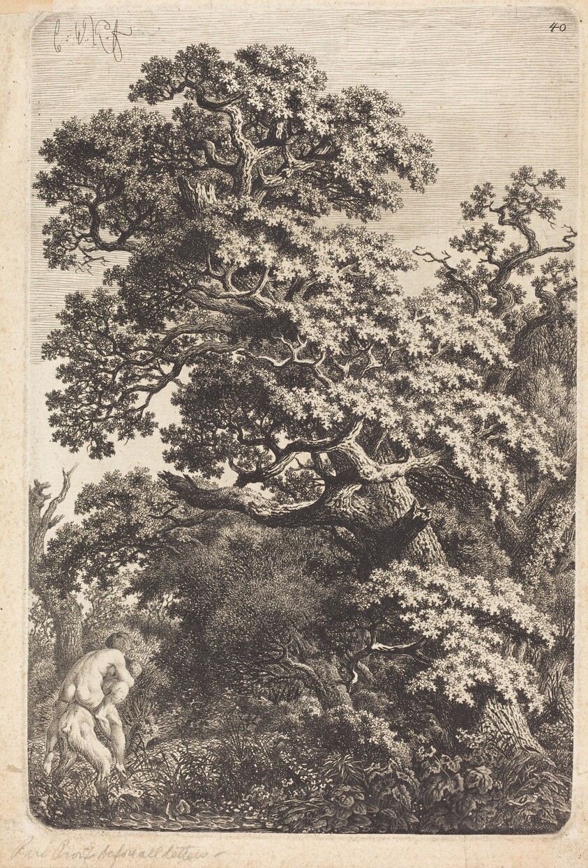 Satyr and Nymph in a Swamp