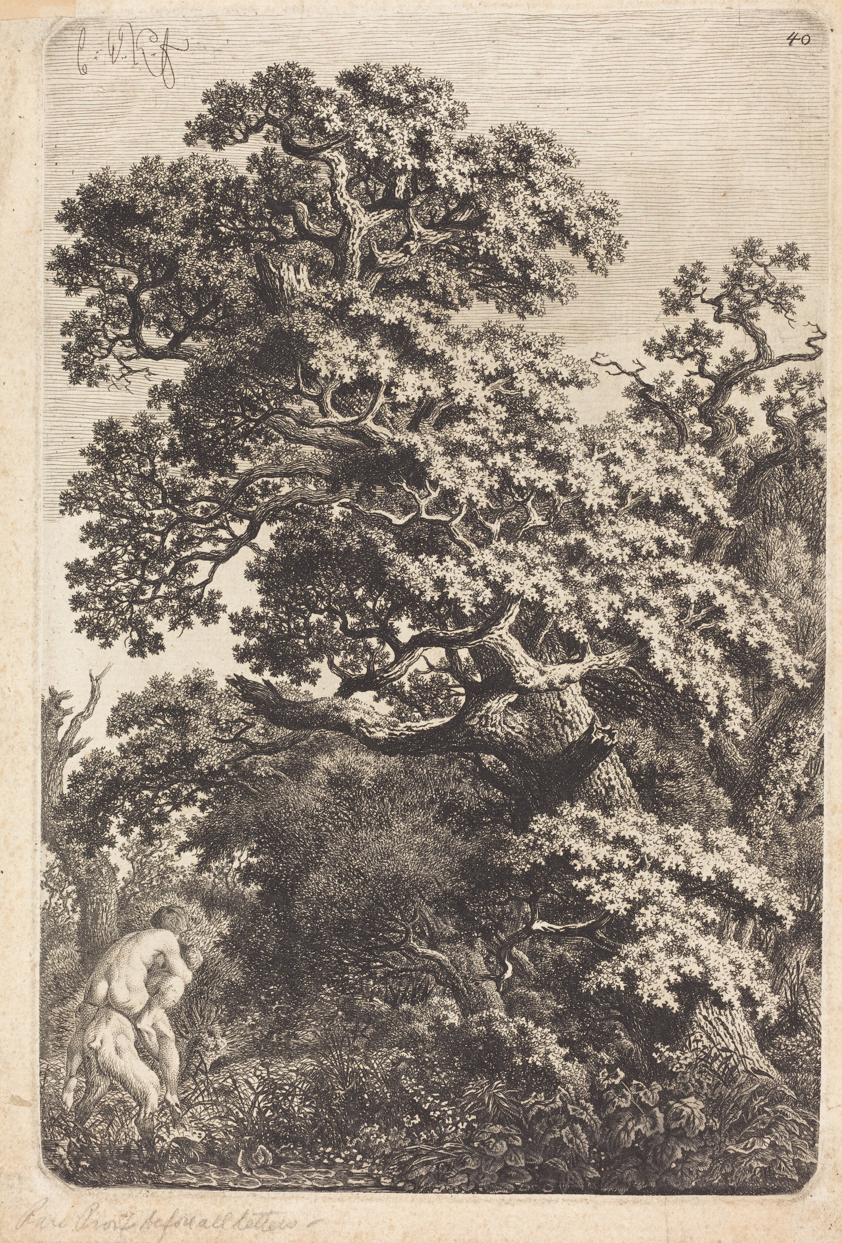 A Dead Oak Tree by Carl Wilhelm Kolbe
