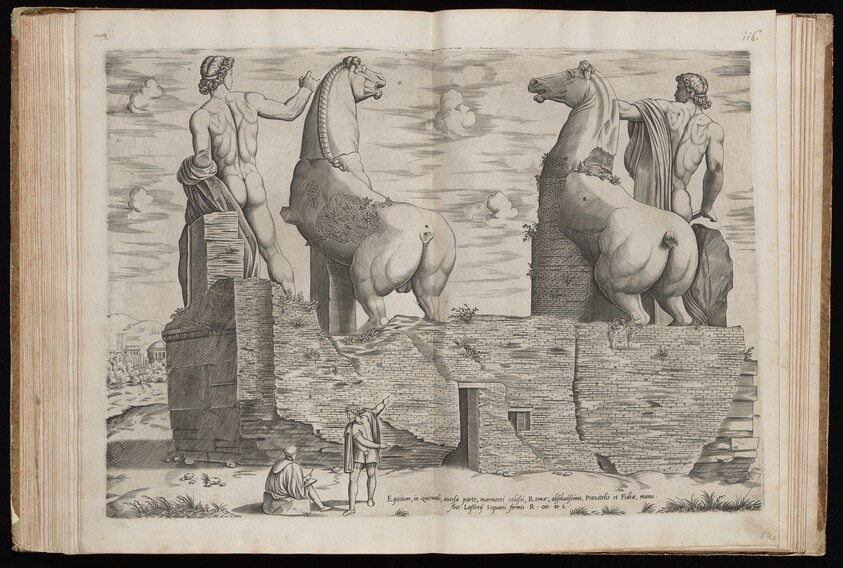 The Dioscuri [Dorsal View]