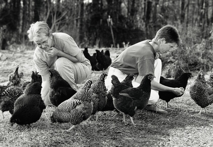 Jean Mills and Carol Eichelberger, no. 2
