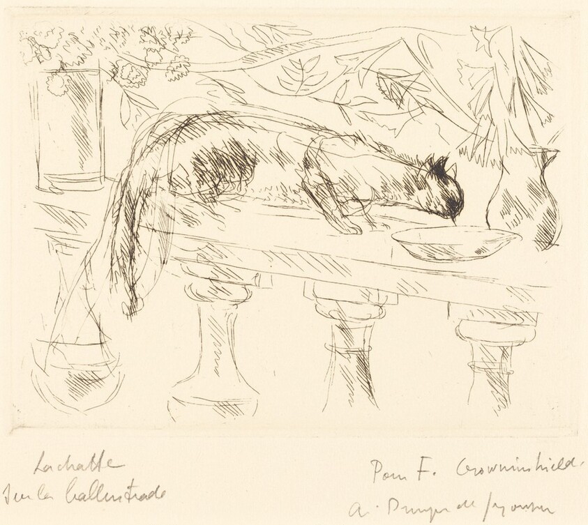 La chatte sur le balustrade