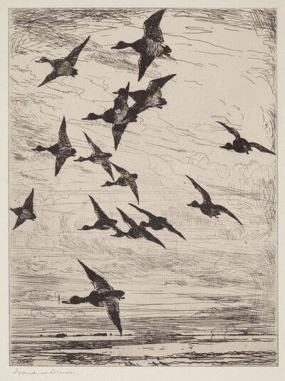High Flying Ducks