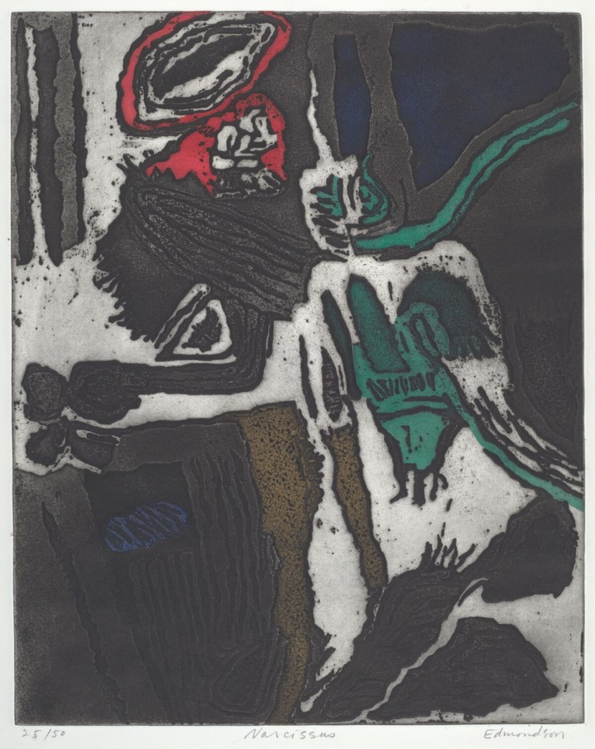 Narcissus
