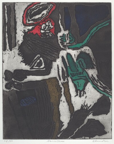 Narcissus