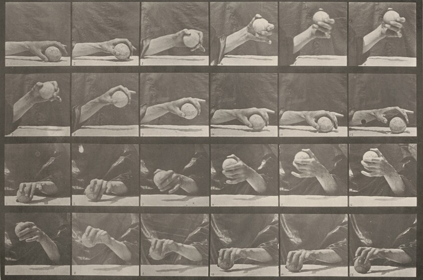 Plate Number 534. Movement of the hand, lifting a ball