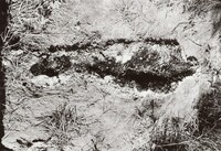 Untitled, Ana Mendieta, 1979