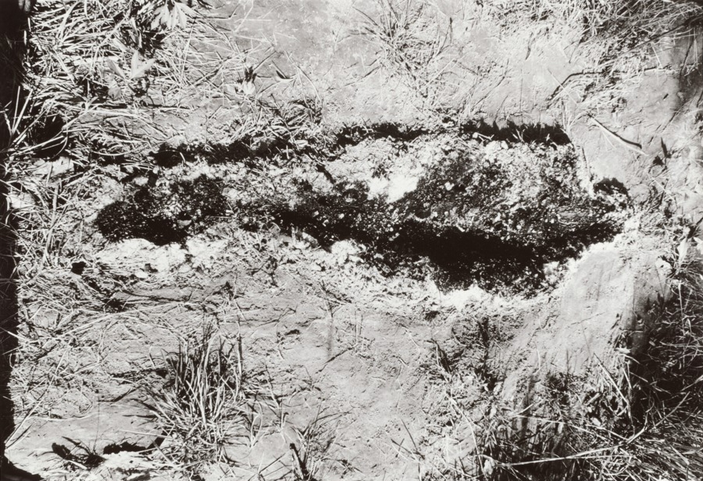 Untitled, Ana Mendieta, 1979