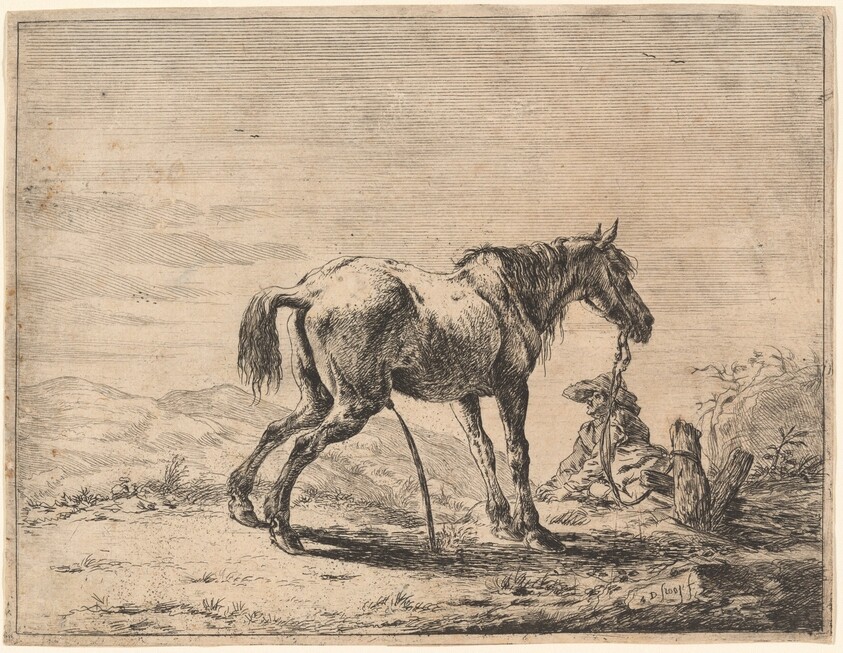 A Pissing Horse Bound to a Post