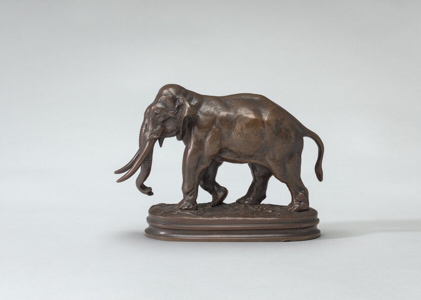 Asian Elephant Walking