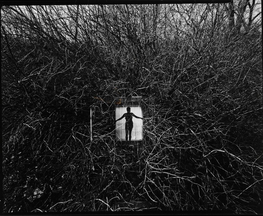 The image shows a silhouette of a person standing with their arms spread out horizontally seen through a window. The person is wearing a form-fitting garment. The window is set against a backdrop of leafless tree branches that dominate the area.