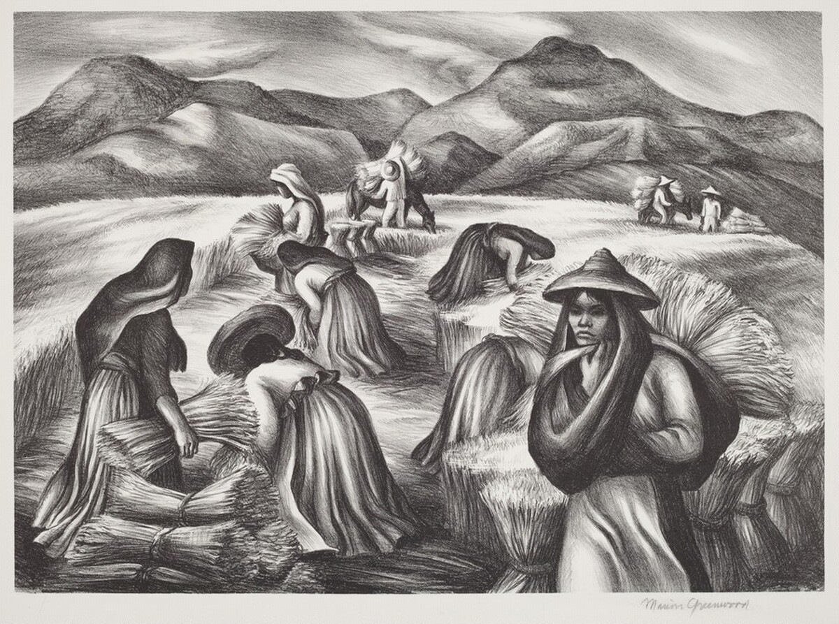 Mexican Harvest