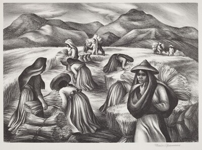 Mexican Harvest