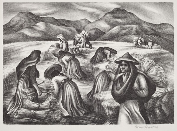 Mexican Harvest
