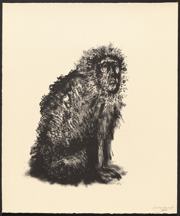 This is a drawing of a monkey. The image shows a monochromatic illustration of a monkey, captured in black ink on a light background. The detailed textures and patterns create a realistic depiction of the monkey's fur. Its eyes are hollow and prominent. The body language suggests the monkey is in a seated position. The use of shading effectively contrasts against the plain backdrop, accentuating the intricate details of the animal’s form.