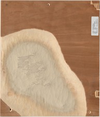 The image shows a wood panel with an irregular, large beige shape on the left side against a medium brown background. The artwork has textured lines and patches, evoking a worn landscape with elevations resembling valleys or geological formations. The contrast between rough and smooth textures is reminiscent of eroded rock surfaces or aged parchment.
