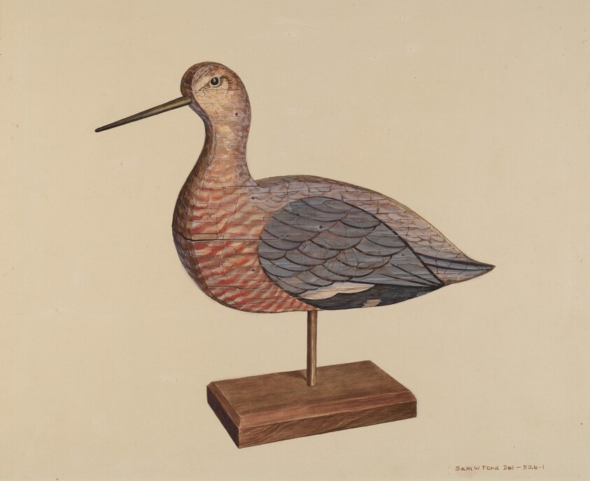 Decoy (Hudsonian Godwit)