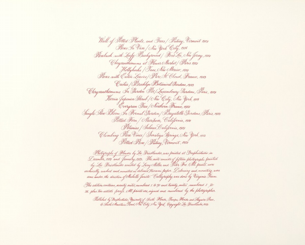 Photographs of Flowers Colophon Page