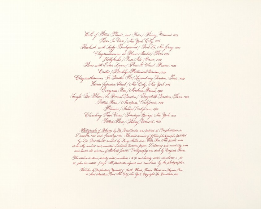 Photographs of Flowers Colophon Page