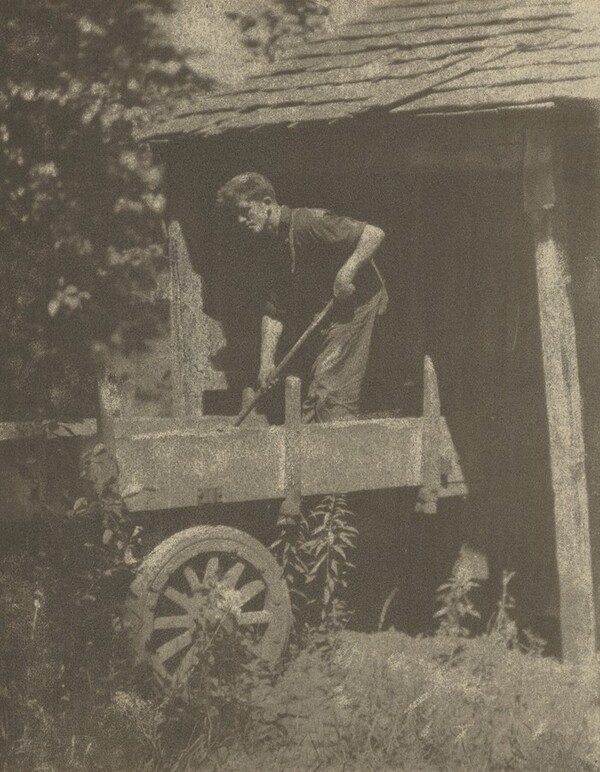 Man Shoveling Corn near Andrews, North Carolina