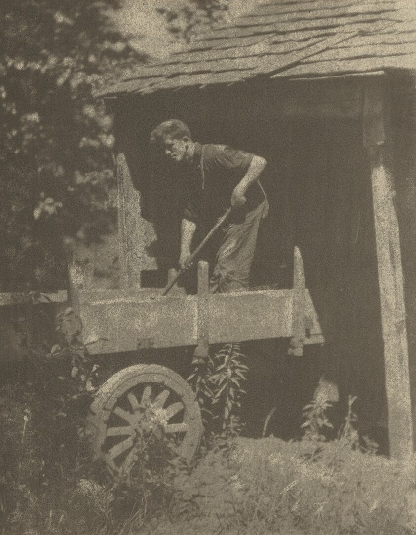 Man Shoveling Corn near Andrews, North Carolina