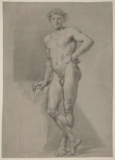 Male Nude Study