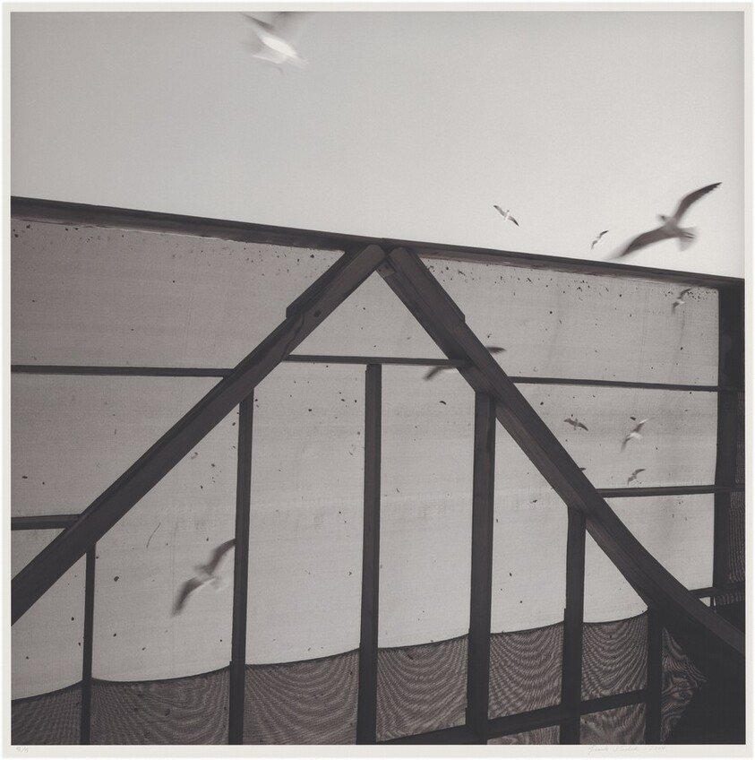 Isla del Padre, Golfo de México, Sur de Texas (Padre Island, Gulf of Mexico, South Texas)