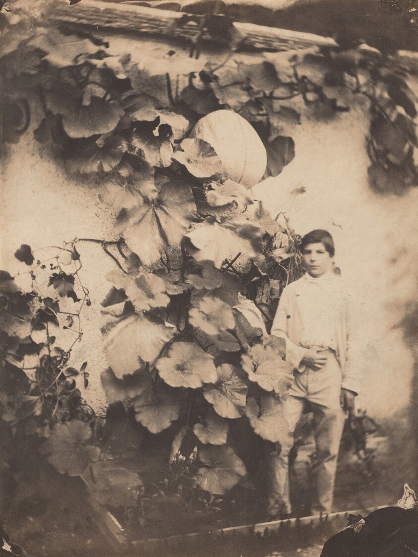 Boy with a Pumpkin Vine