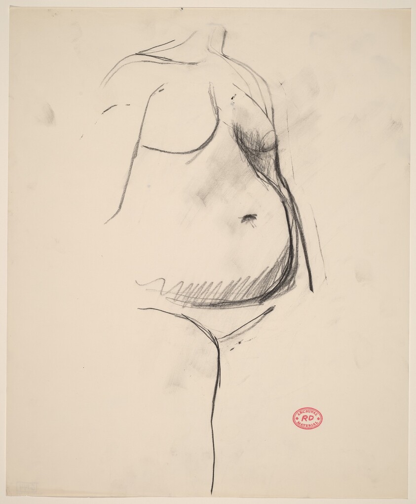 Untitled [female torso]