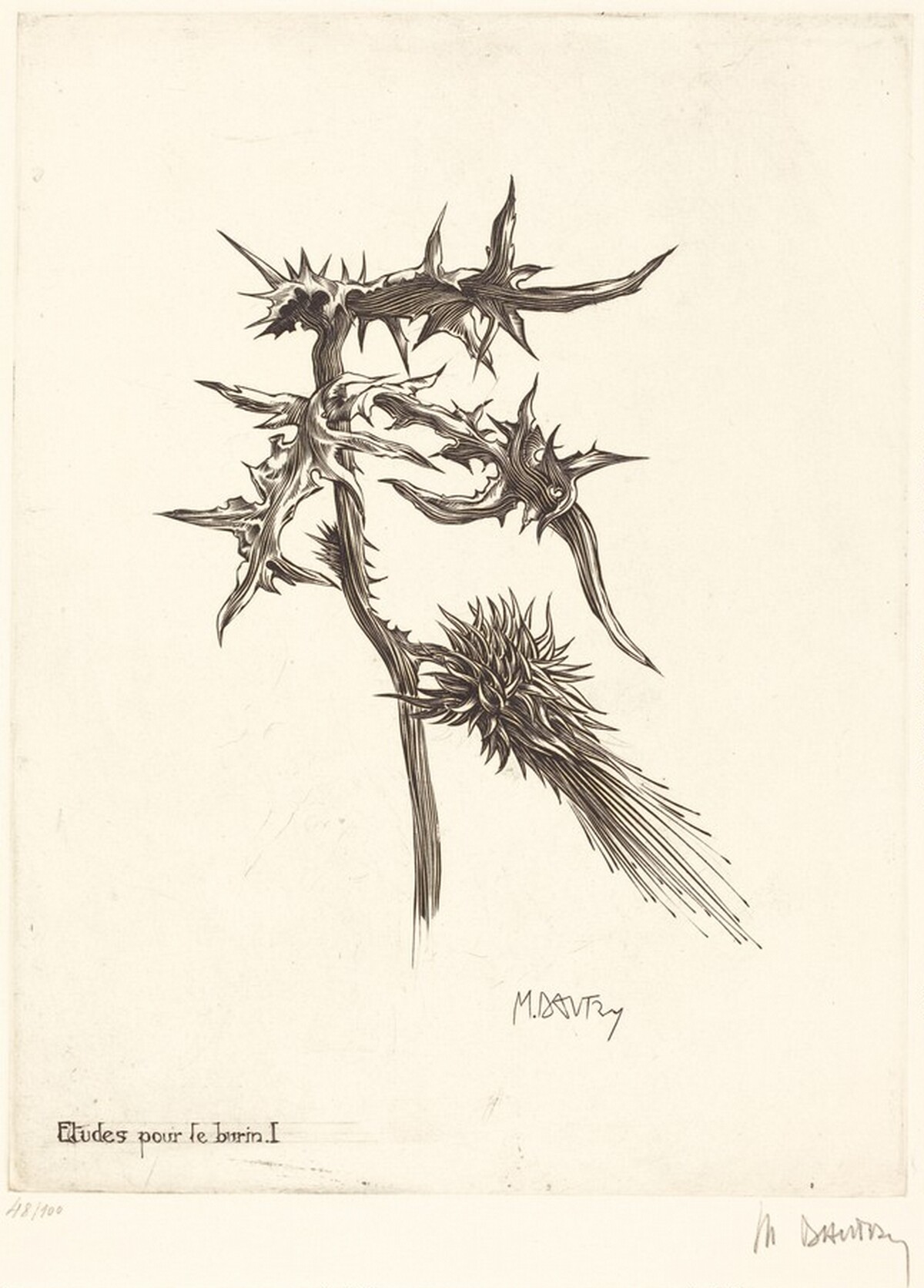 Etudes pour le burin I (Thistle)