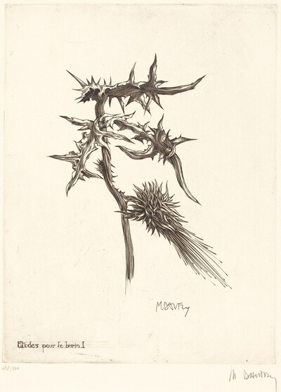 Etudes pour le burin I (Thistle)