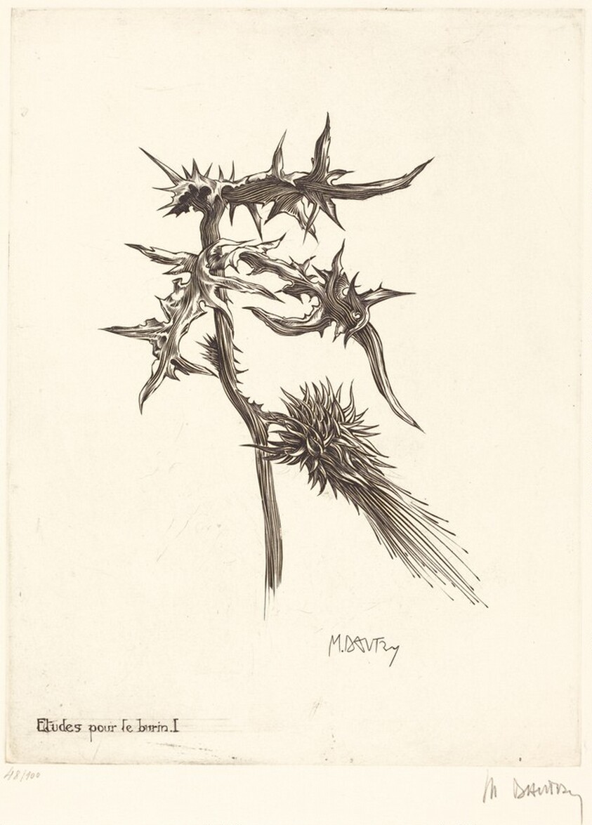 Etudes pour le burin I (Thistle)