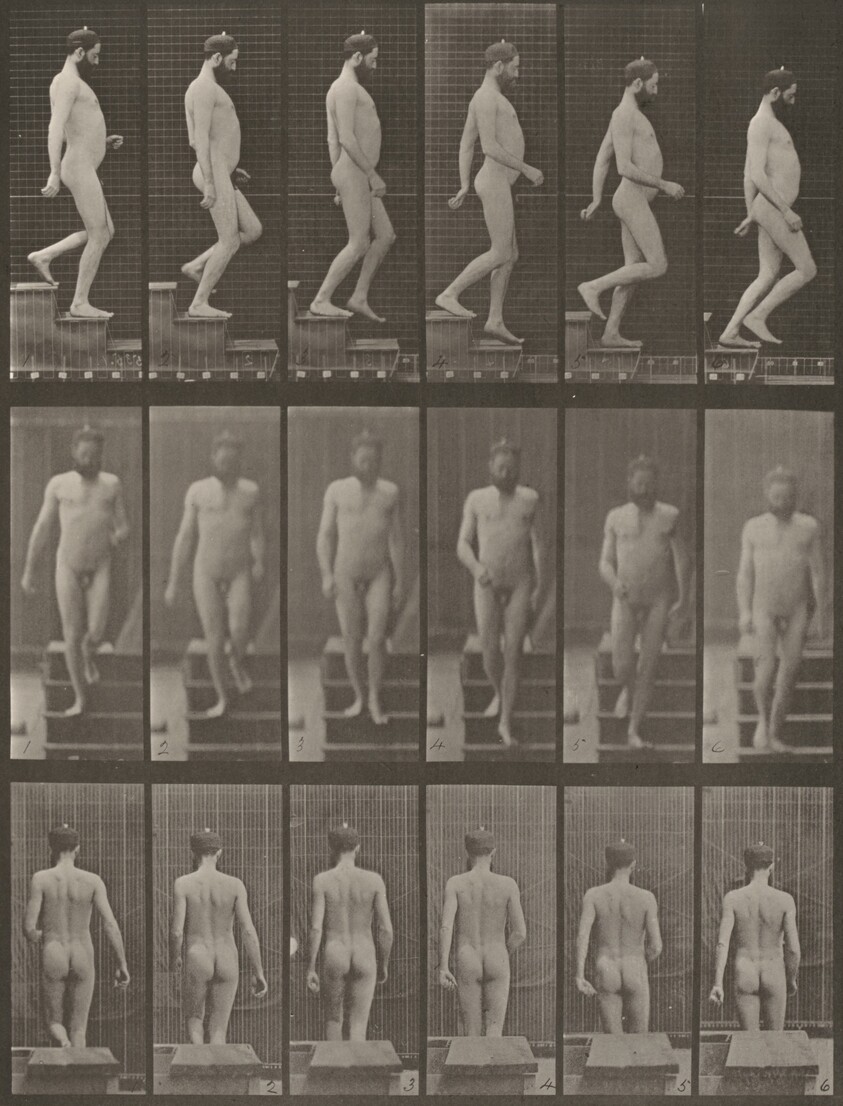 Plate Number 127. Descending stairs