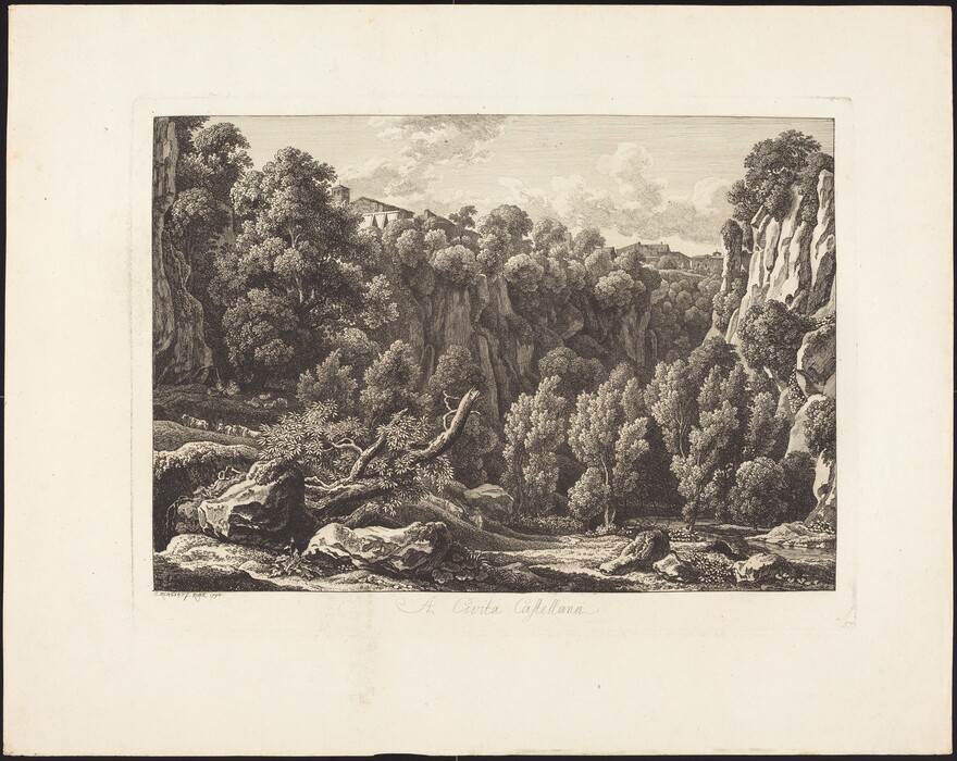 The image depicts a landscape from an elevated point of view. The horizon is high in the composition, marked by a ridge of hills with a building nestled among them. The scene showcases a cluster of trees and rocky outcrops framing the valley. The engraving shows depth and texture through fine lines and shading techniques. The monochrome palette accentuates the depth and texture with black and white contrast defining the vegetation and cliffs. Rocks and fallen branches lie across the landscape. In the distance, clouds scatter in the sky above the terrain.