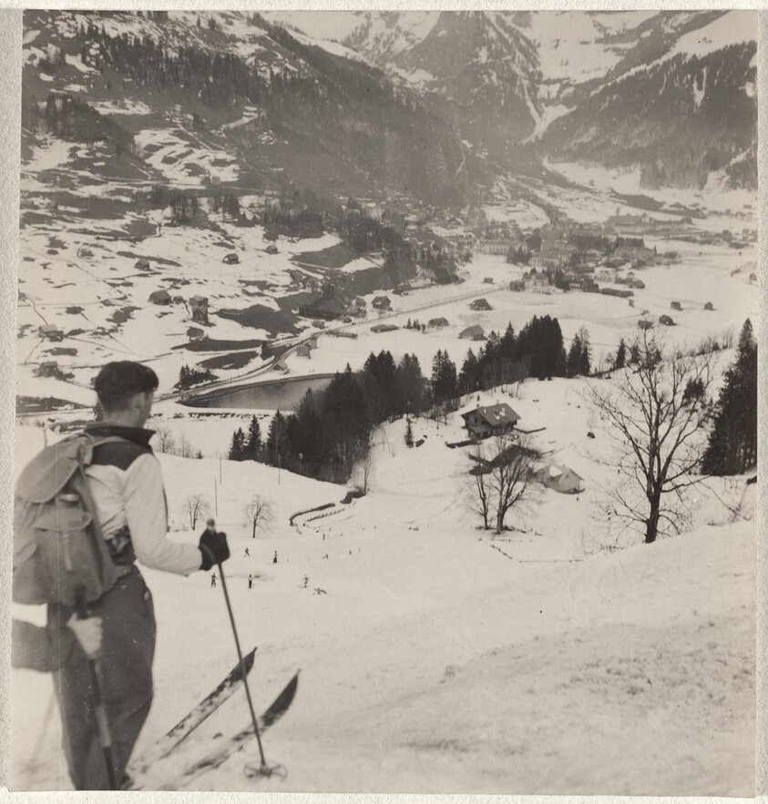 Skier overlooking valley--Sports
