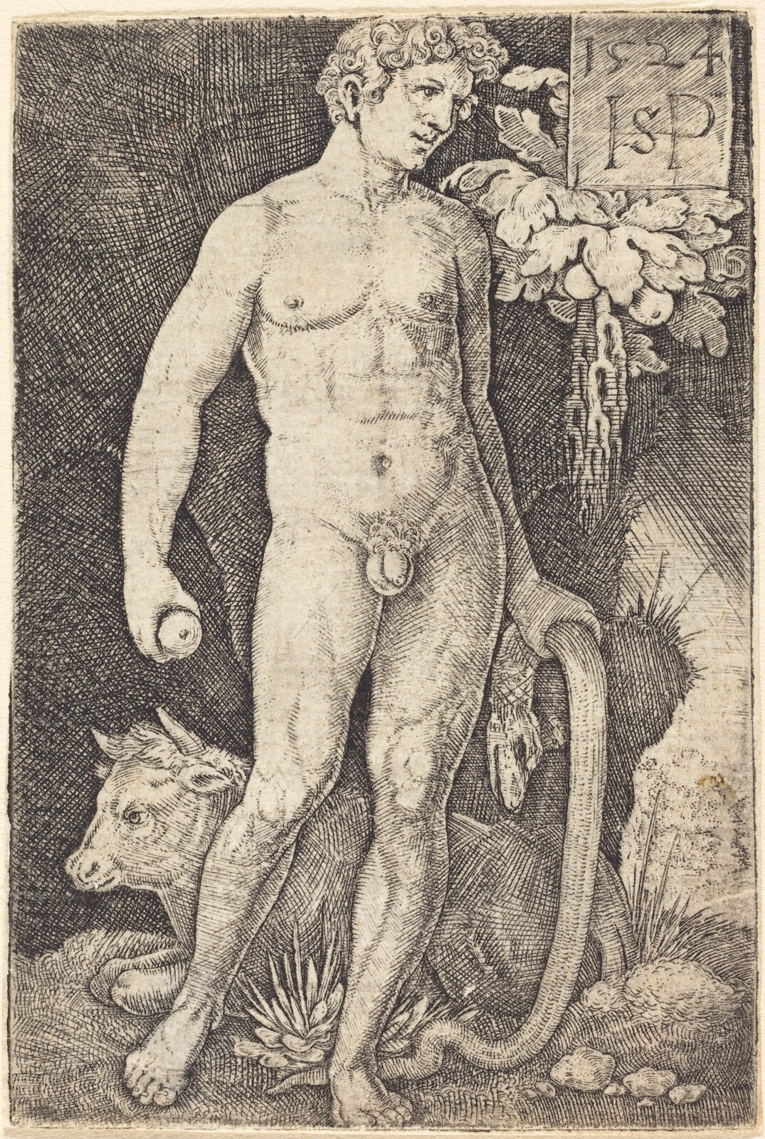 Adam Standing, Sebald Beham, 1524
