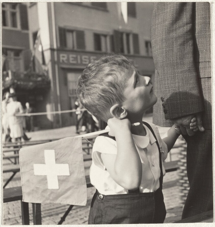Boy holding flag on national holiday