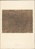 Sol dramatique, Jean Dubuffet, 1959